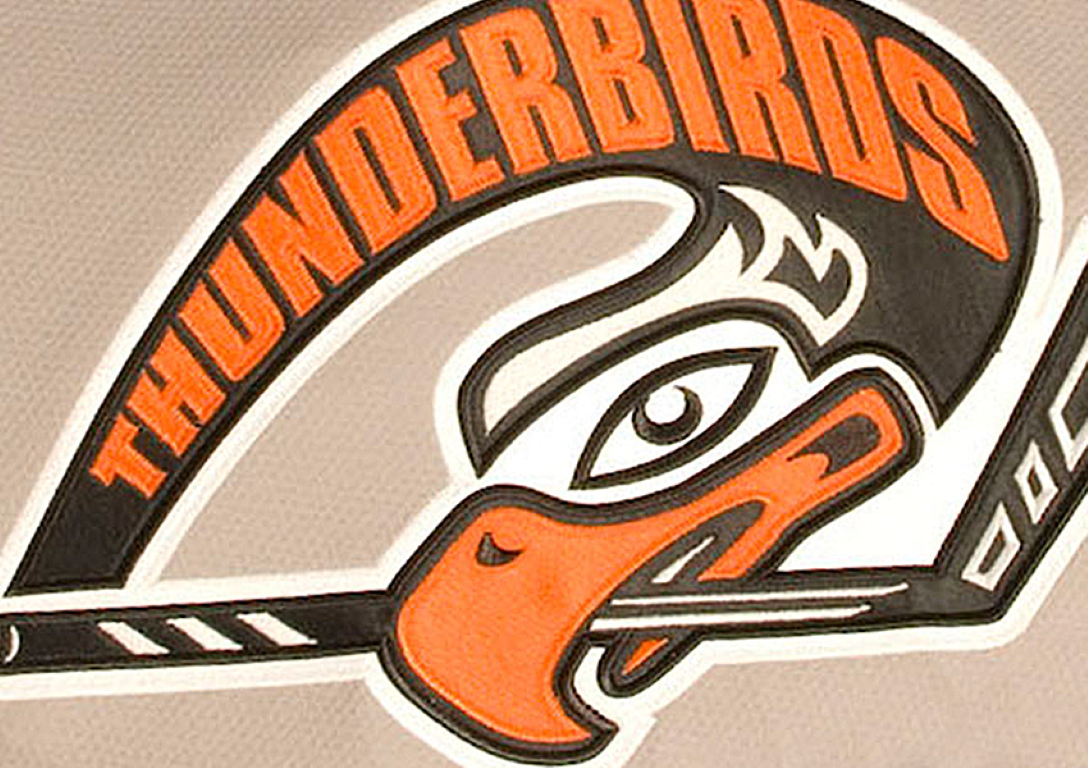 Thunderbirds logo