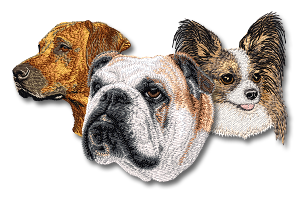 Three dogs of different breeds